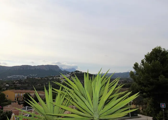 Nailencia * كاليبي