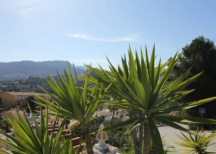 فيلة Nailencia كاليبي